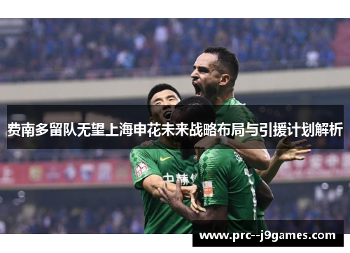 费南多留队无望上海申花未来战略布局与引援计划解析