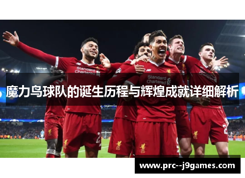 魔力鸟球队的诞生历程与辉煌成就详细解析