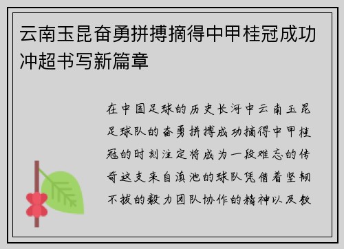 云南玉昆奋勇拼搏摘得中甲桂冠成功冲超书写新篇章 云南玉昆奋勇拼搏摘得中甲桂冠成功冲超书写新篇章